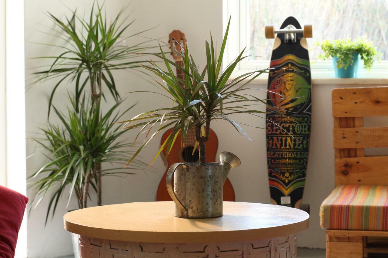 Blacksheep Sagres Guesthouse & Surf ภายนอก รูปภาพ